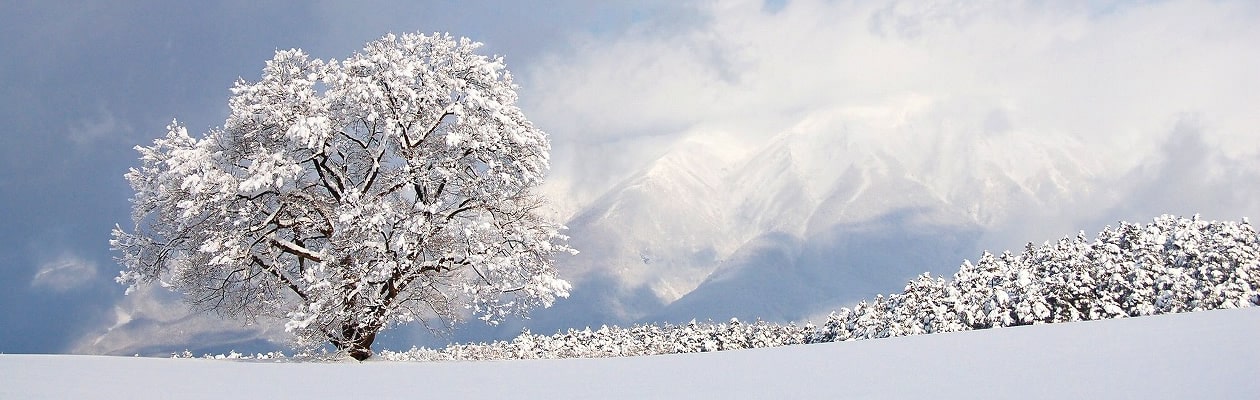 株式会社 なかの空調サービス